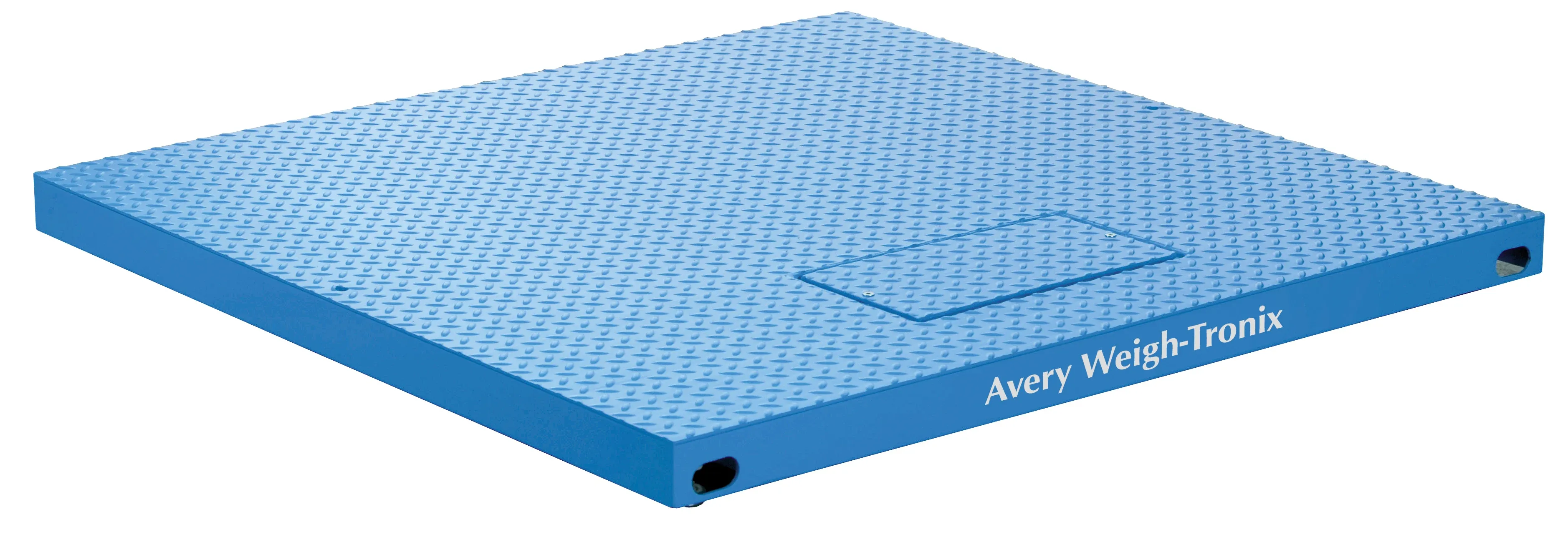 Blue Avery Weigh-Tronix ProDec DSL floor scale