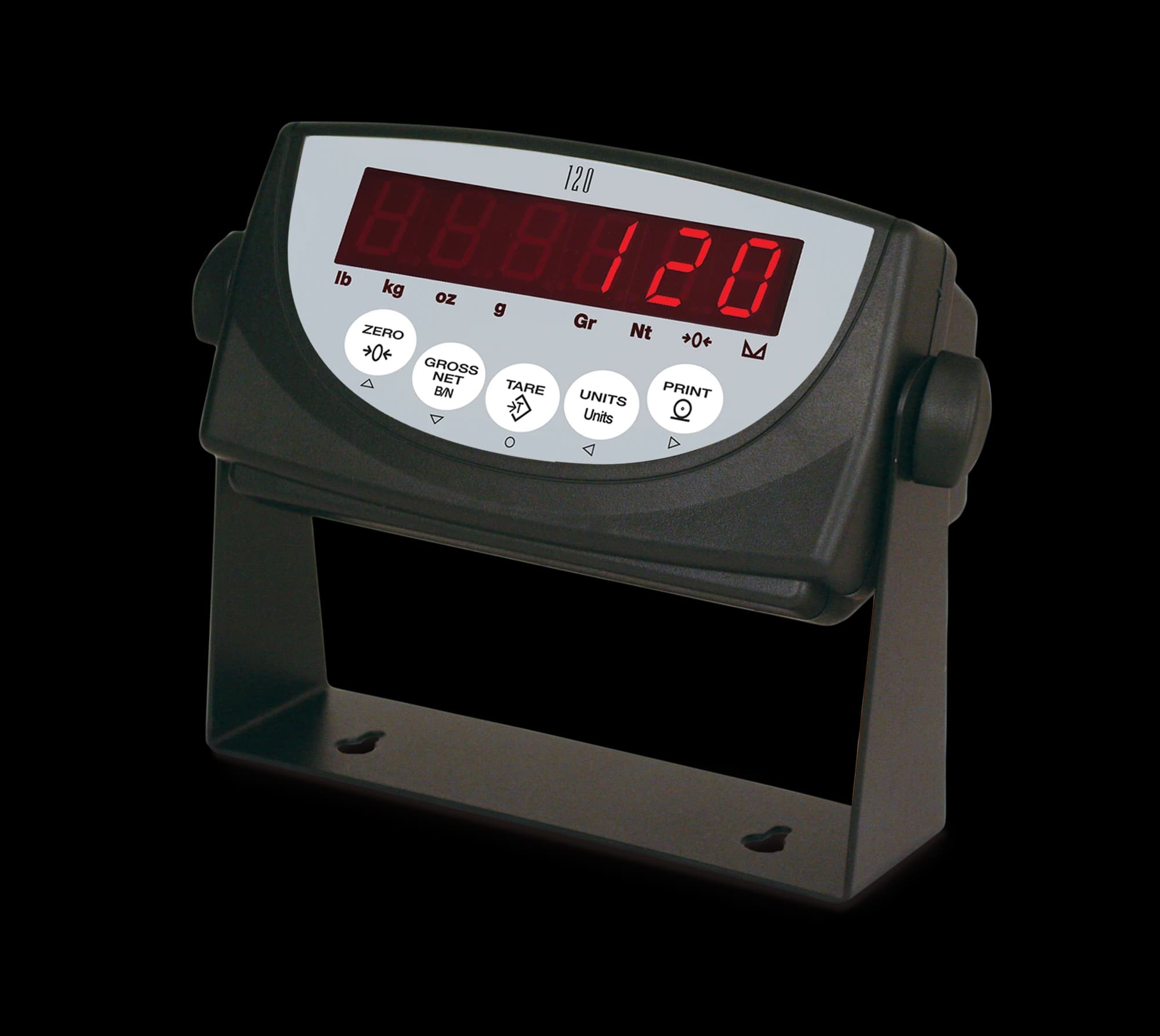 Rice Lake 120 indicator