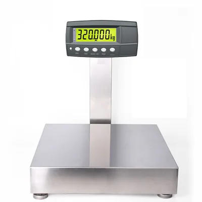 XB Series Bench Scale product image, from Walz Scale.